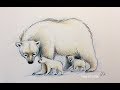 Colored pencil drawing sketch demo polar bear with cubs