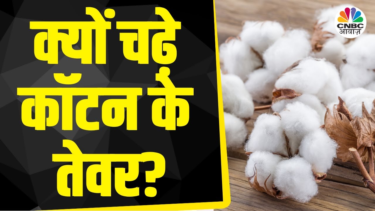 Cotton Price Today MSP 