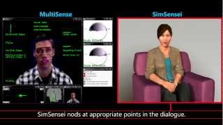 SimSensei & MultiSense: Virtual Human and Multimodal Perception for Healthcare Support