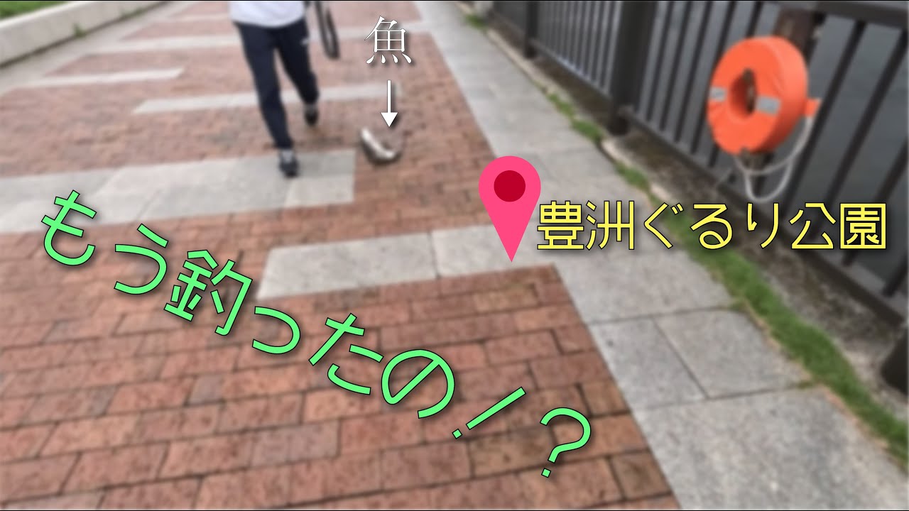 【豊洲ぐるり公園】同行者が都会の海で開始早々デカい魚を釣った！！