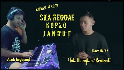 Dory Harsa - Tak Mungkin Kembali (Karaoke) ||versi Skakoplo jandut