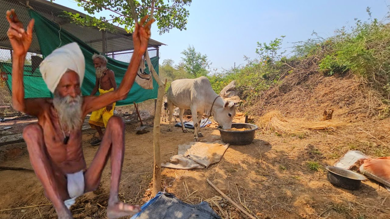 चित्रकूट के सिद्ध संत राधे बाबा की कुटिया में चमत्कार हो गया // सब चमन है