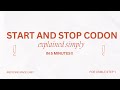 Start and Stop Codons explained in under 5 minutes | Biochemistry | USMLE Step 1