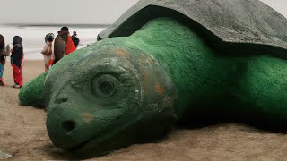 The biggest turtle in the world