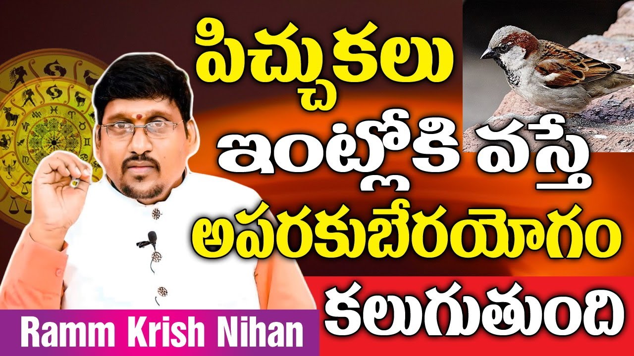 పిచ్చుకలు ఇంట్లోకి వస్తే అపరకుబేరయోగం కలుగుతుంది || Ramm Krish Nihan