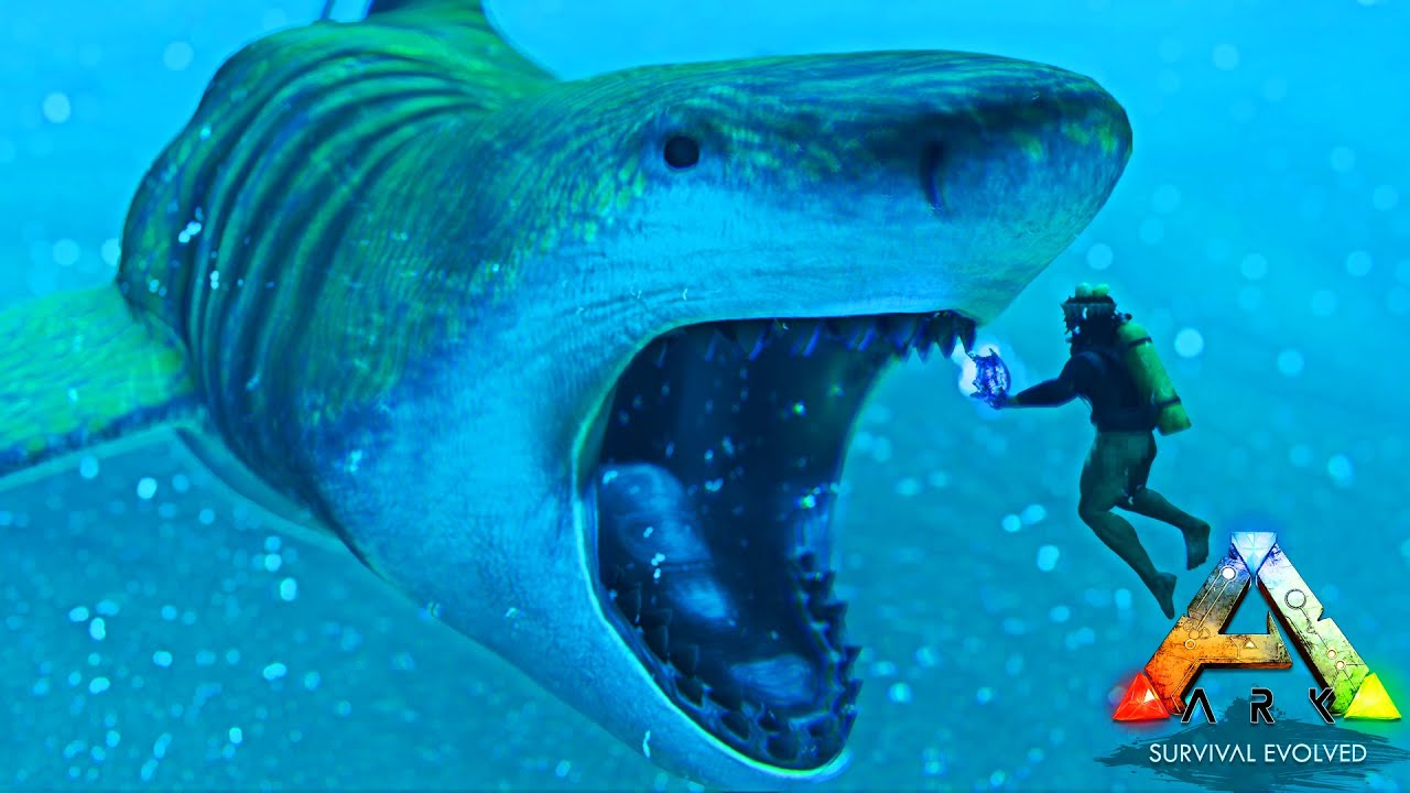 Megalodonte Supremo Real O Mais Perigoso Megalodonte Dos Mares No ARK 