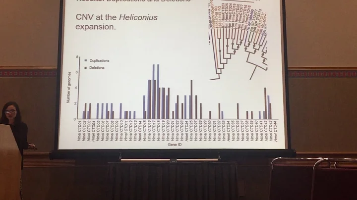 Macias: Copy number variation and a role in vision...