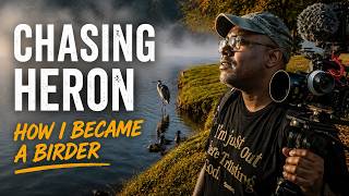 I Accidentally Became a Birder | Chasing The Great Blue Heron | Episode 1