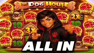 ВСЕ БОНУСЫ ALL IN В The Dog House Megaways / СЛОВИЛ 2000X / ЗАНОСИЩЕ НЕДЕЛИ / ЗАНОС В СОБАКАХ!!!