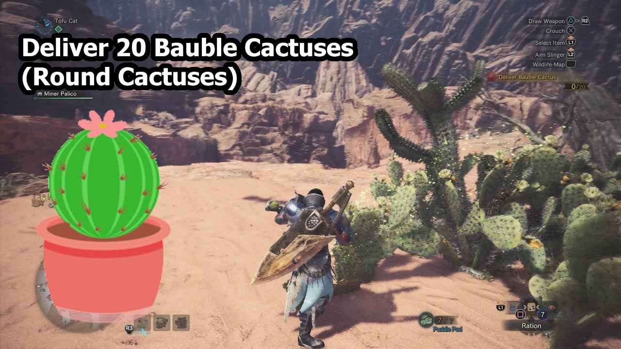 「PART 13」Prickly Predicament - Deliver 20 Bauble Cactuses | Monster ...