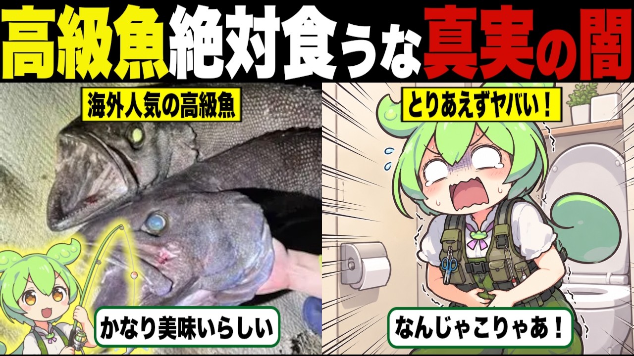 660 A Big Hit Overseas!? The Phantom Luxury Fish That Vanished