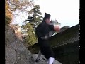 Explosive Wudang Kungfu - Internal Powers - Fali & Fajin ???????