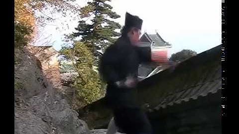 Explosive Wudang Kungfu - Internal Powers - Fali & Fajin 武当发劲和发力