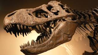 Timeline of paleontology | Wikipedia audio article