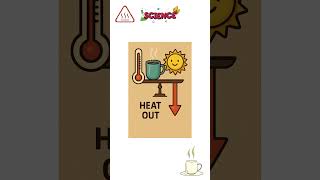 ☕ Why Do Hot Drinks Cool Down Over Time  Fun Science Quiz Explained #shorts #sciencefacts #funtrivia