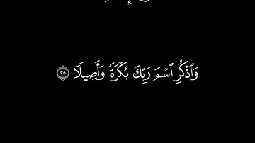 [سورةُ الإنسان]القارئ: عمرو أشرف