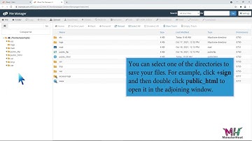 How to upload files via the cPanel File Manager with MonsterHost