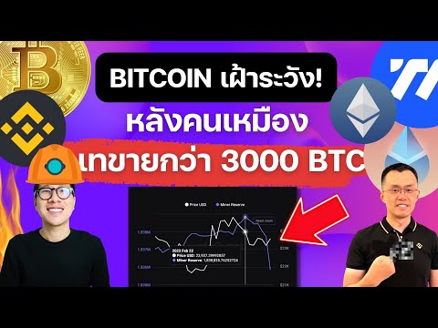 (ข่าวคริปโต)BITCOIN ช่วงเฝ้าระวัง! TUSD กำลังได้ประโยชน์จาก FUD BINANCE