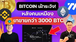 (ข่าวคริปโต)BITCOIN ช่วงเฝ้าระวัง! TUSD กำลังได้ประโยชน์จาก FUD BINANCE