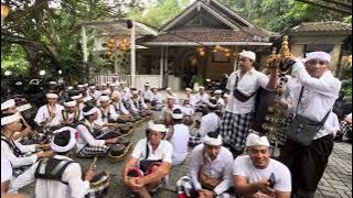 Bebarongan Jaran Gadang Sekha Gong Jayengrat Penestanan Kelod #penestanan