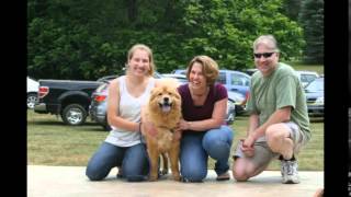 Joyful Rescues Petfest 2015