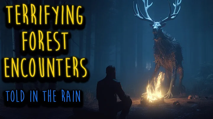 TERRIFYING FOREST STORIES THAT WILL GIVE YOU CHILLS | Scary Forest Horror Stories Told in the Rain - DayDayNews