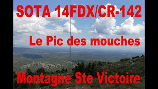 SOTA Tour 2020 14FDX/CR-142 Pic des Mouches