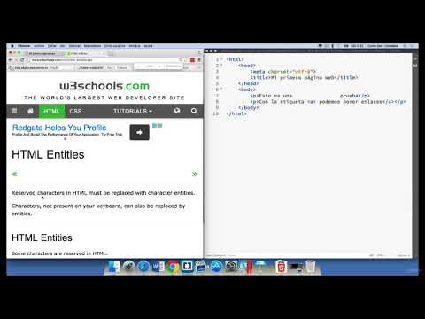 021 Entidades HTML
