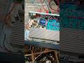 Car amplifier #caramplifier #subwoofer #caraudio #diyamplifier #12volts