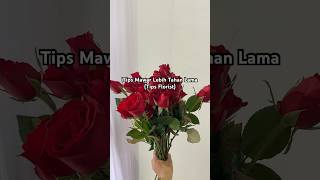 Tips Bunga Mawar Tahan Lebih Lama Ala Byrflorist bungamawar florist buket flowers bunga tips