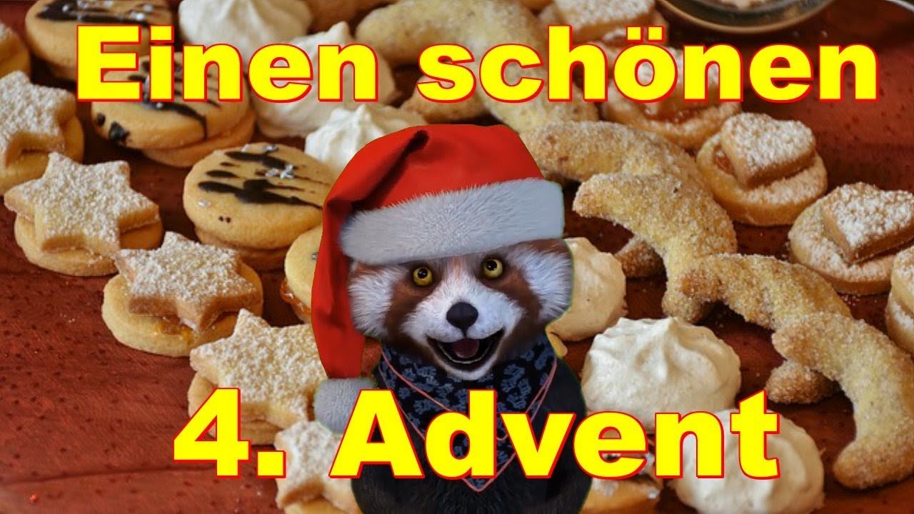 4 Advent Bilder Tiere Test