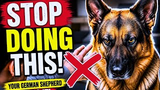 15 Things German Shepherds Secretly Hate (Most Owners Have No Idea)