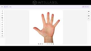 Intellabel Starter Plan Walkthrough Annotate, Review Export Datasets In Minutes