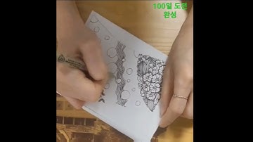 난!! 젠탱글 시간 #젠탱글 #DOVAN2022 #MKYU #1일1젠탱글 #젠탱글_숏츠