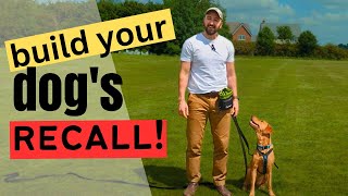 How to get your dog to recall easily at home. Dog training beginner tips