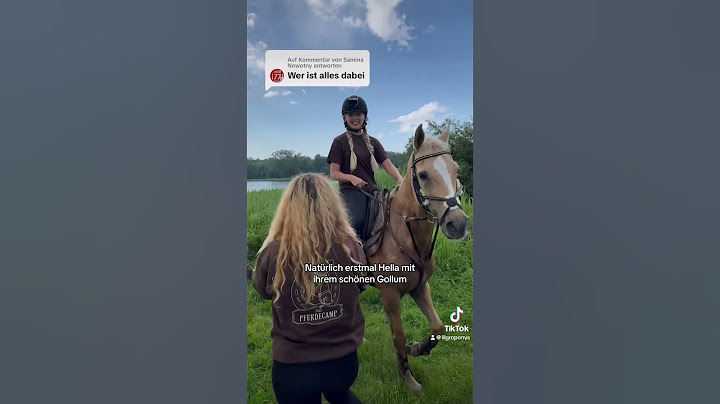 Die Teilnehmer vom Pferdecamp 2024🫢😍🐴