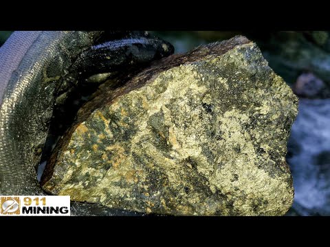 Rich Gold Bearing Chalcopyrite Zone In Volcanic Rock!