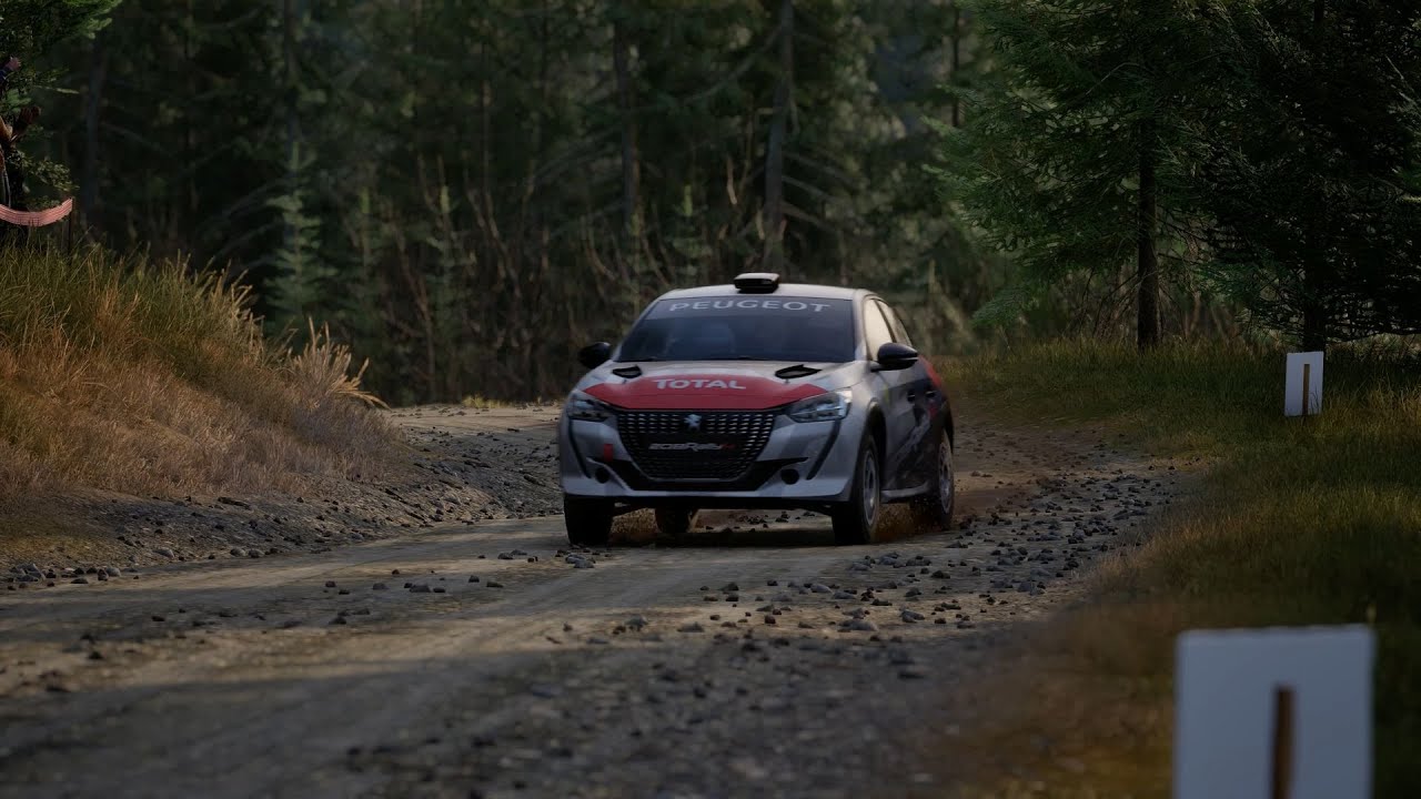 Assetto Corsa Rally // Peugeot 208 // Hafren Cinematic