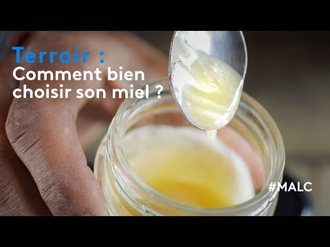 Prévisualiser la vidéo