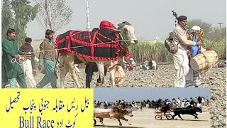 New Bull Race January 23, 2021 | All junabi Punjab Bail race mela 2021 || (دوڑ)نیو بیل ریس