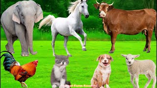 Cute Farm Animals: Pig, Duck, Buffalo, Dog, Sheep, Goat, Cow, Chicken, Rabbit – Animal Sounds screenshot 4