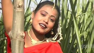 CHAM CHAM CHAMKE RE BINDIYA - चम् चम् चमके रे बिंदिया || Alka Chandrakar