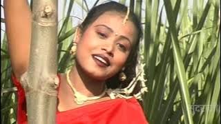 CHAM CHAM CHAMKE RE BINDIYA - चम् चम् चमके रे बिंदिया || Alka Chandrakar