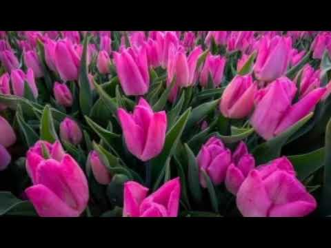 البدايات قد تبدو رائعة لكنها ليست دائم ا كما نتصور