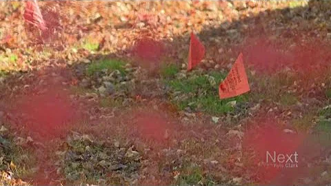 A new safety commission is coming and you can use it to tattle