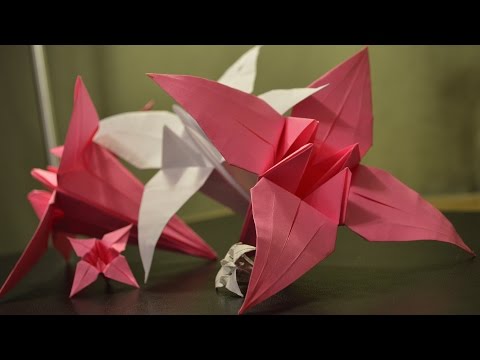 How to Make a Paper Lily
