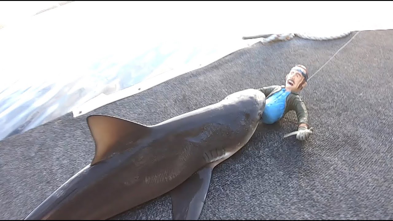 Finally Got Eaten by a Shark! YouTube