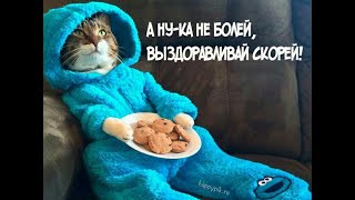 Мальчишник   Ночь