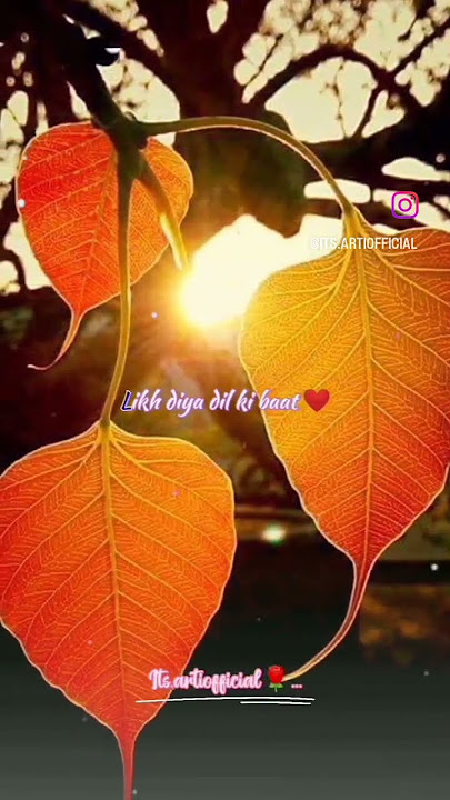 peepal ke patwa pe likh diya dil ki song😊Suryavansham❤lovely song😊status❤#viral @artilovingstatus