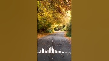 💚أولئك يوجزون الغرفة بما صبرو💙تلاوة عطرة جداً 🎙💥👍